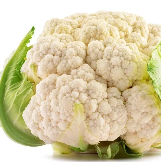 New varieties of factory direct sales big flower nutrition delicious cauliflower, looking forward to your purchase (1600531500838)