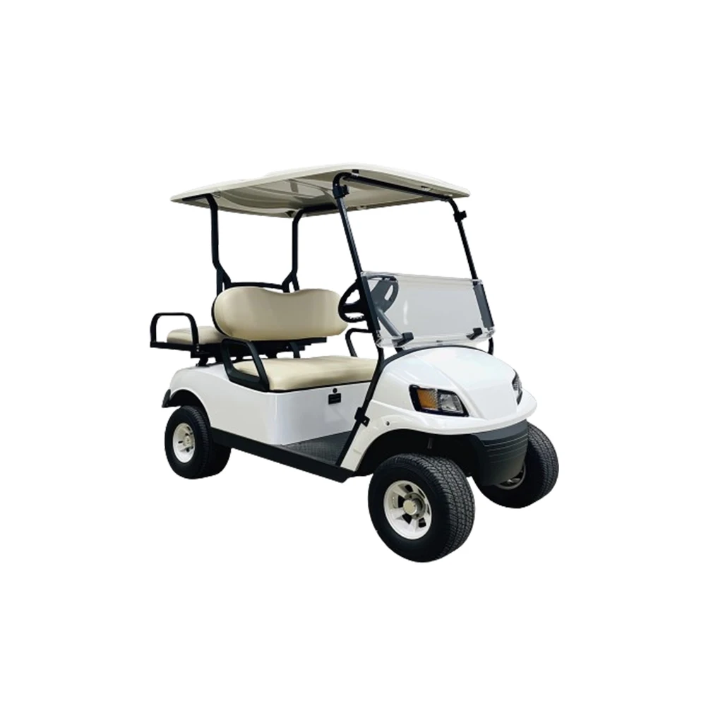 Hot sale manual transmission golf cart 2 seat remote control  golf cart