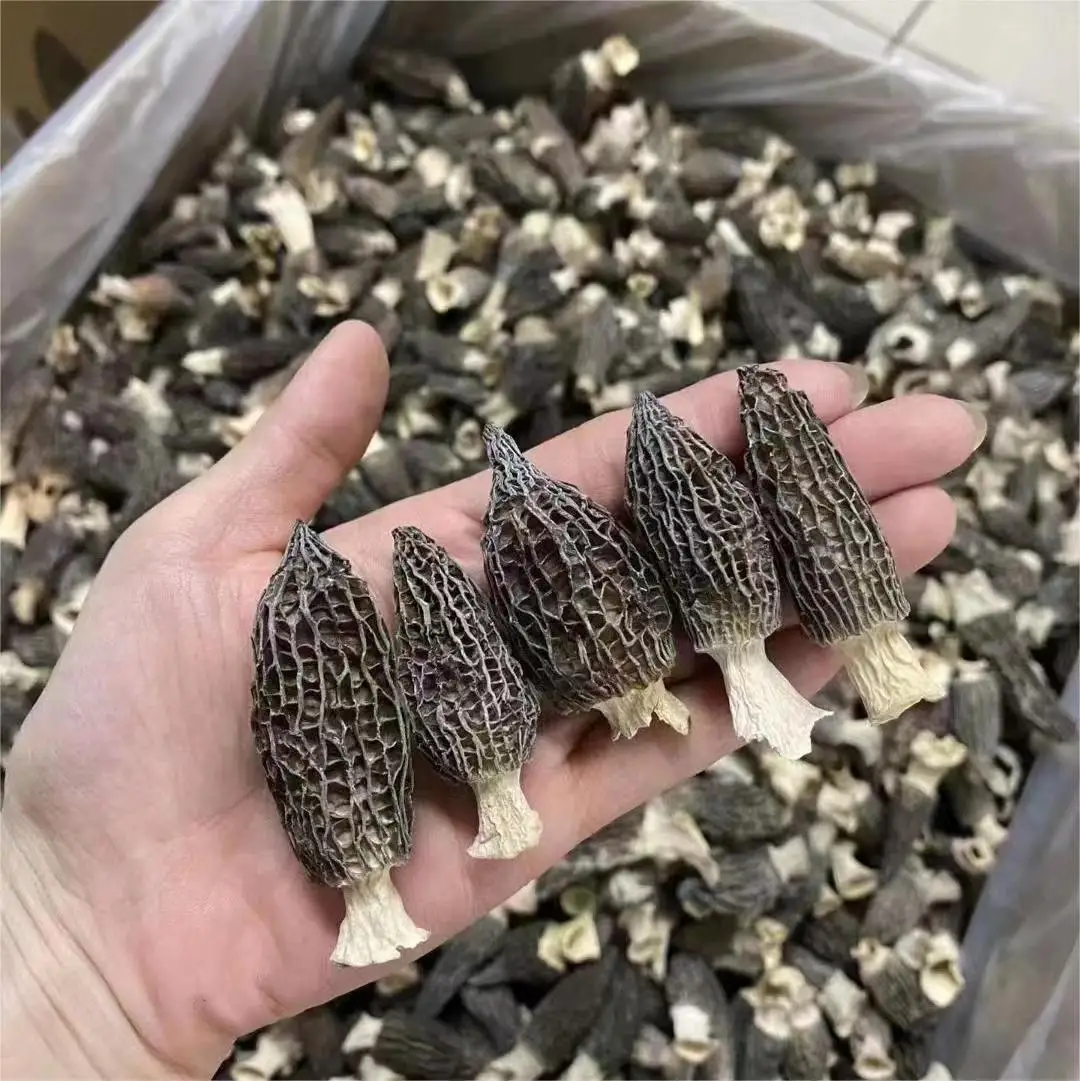 High-quality dried morels directly from the manufacturer Edible black morels Mushroom Wholesale Morchella Mushroom
