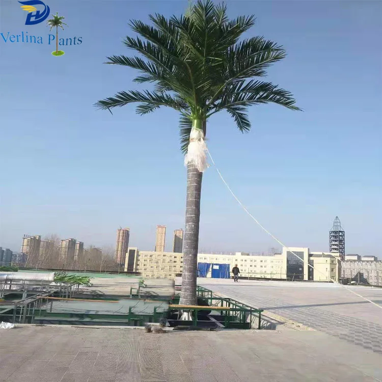 China wholesale Fiberglass outdoor giant decorative coconut palm tree