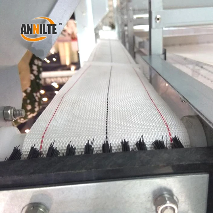 Annilte Egg Collection Belt 100mm 95mm for Chicken Farm