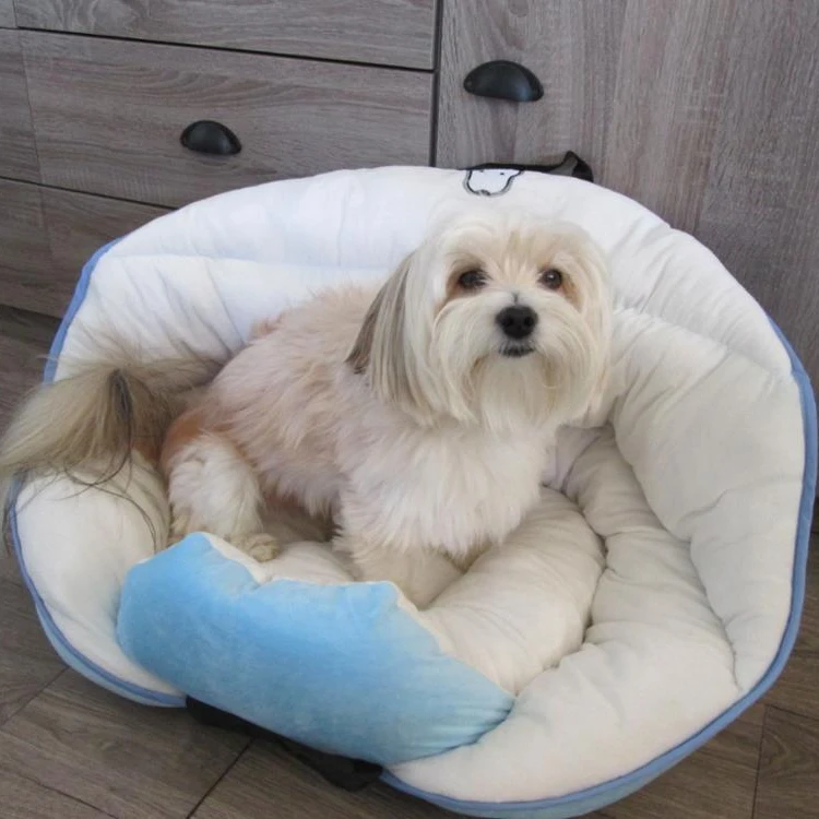 
2 in 1 Pet Dog Carrier Folding Car Seat, Safe Carry Puppy House Waterproof Travel Dog Car Seat Bag Basket 