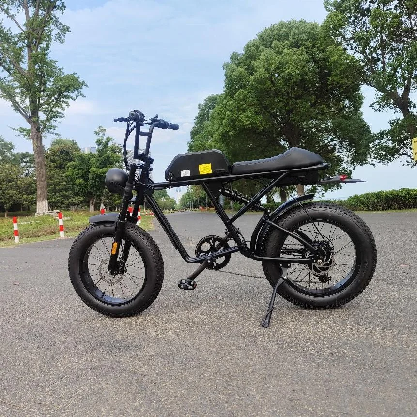 LAMASSU vintage style 250w electric city bike 700c electric bike ebike city with caliper brake