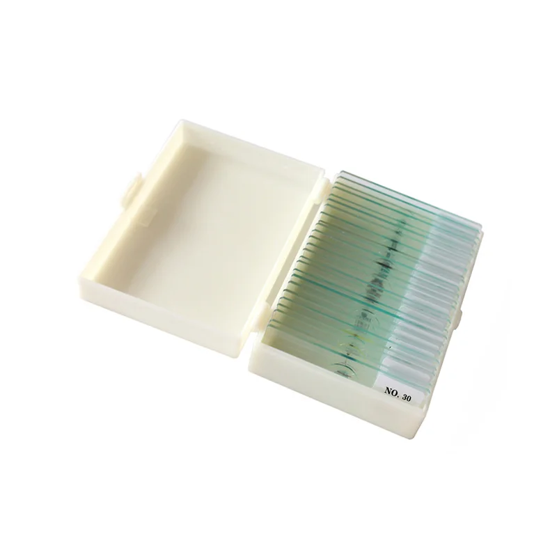 30pcs Bacteriology Microbiology Prepared Glass Microscope Slides Set For Medical Research