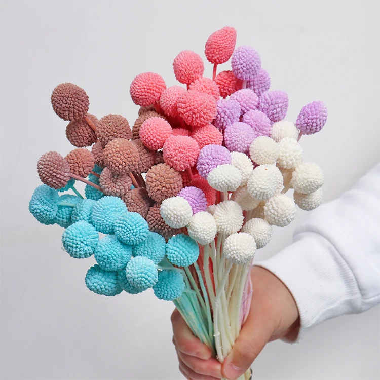 A-20 wholesale cheap natural Golden ball dry for candles arrangement resin Decorative flowers dried flower