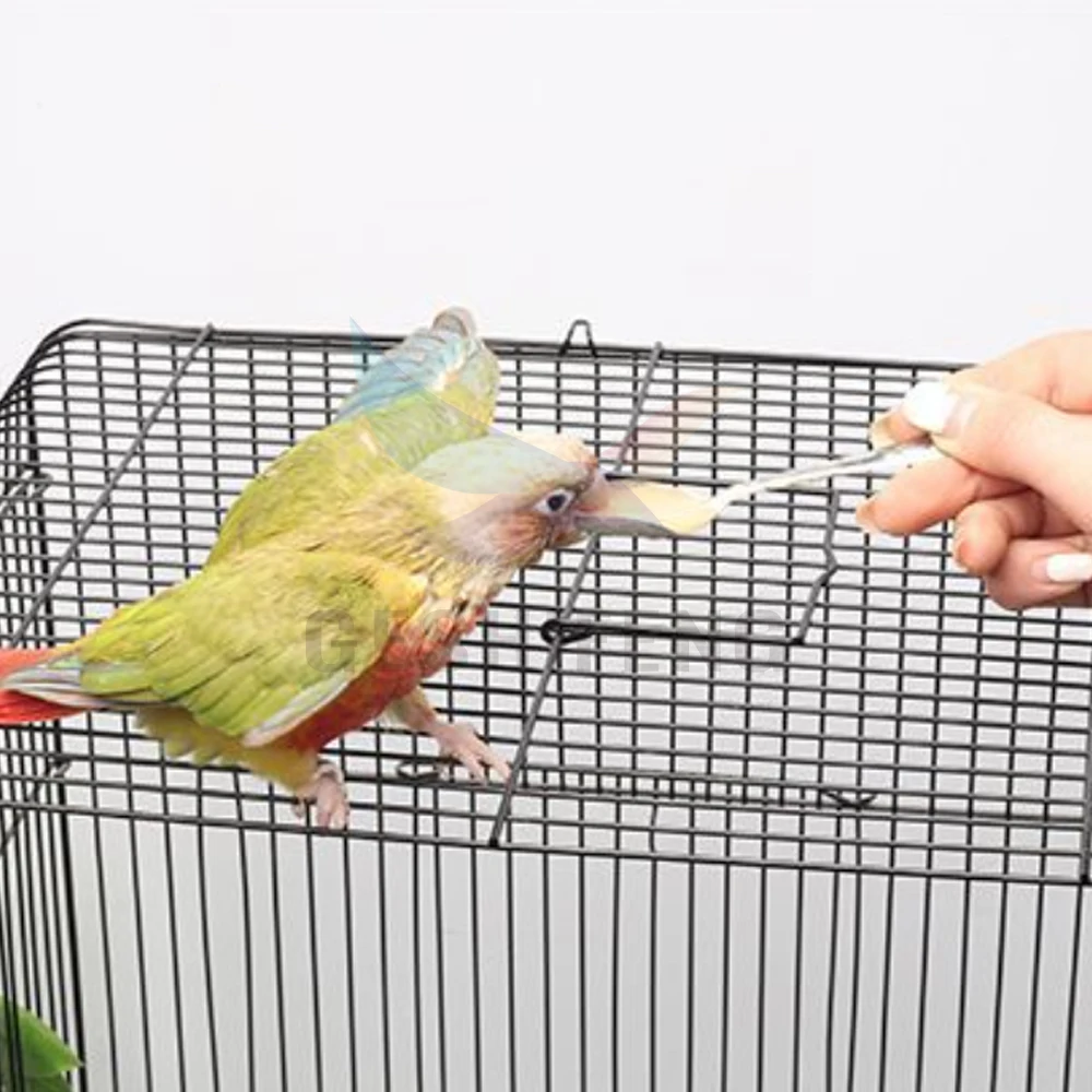 Wholesale Stainless Steel Bird Feeder Bird Feeding Spoon Hand Feed Scoop For Parrot Birds Accessories Feeding Milk