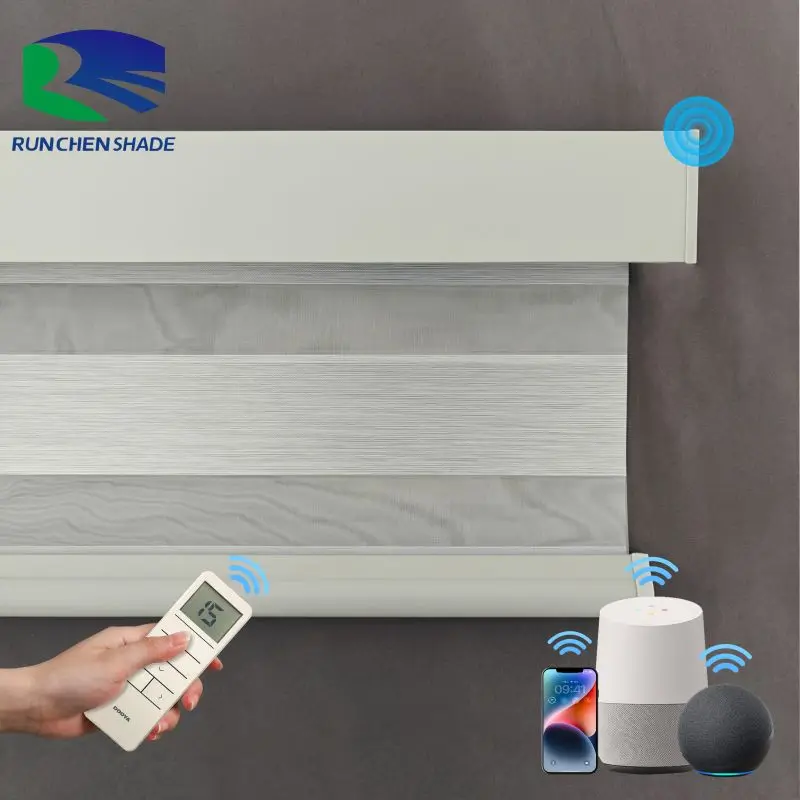 Zebra Blinds Roller Modern Built-In Installation for French Windows Features Horizontal Pattern Design Chain House Blinds