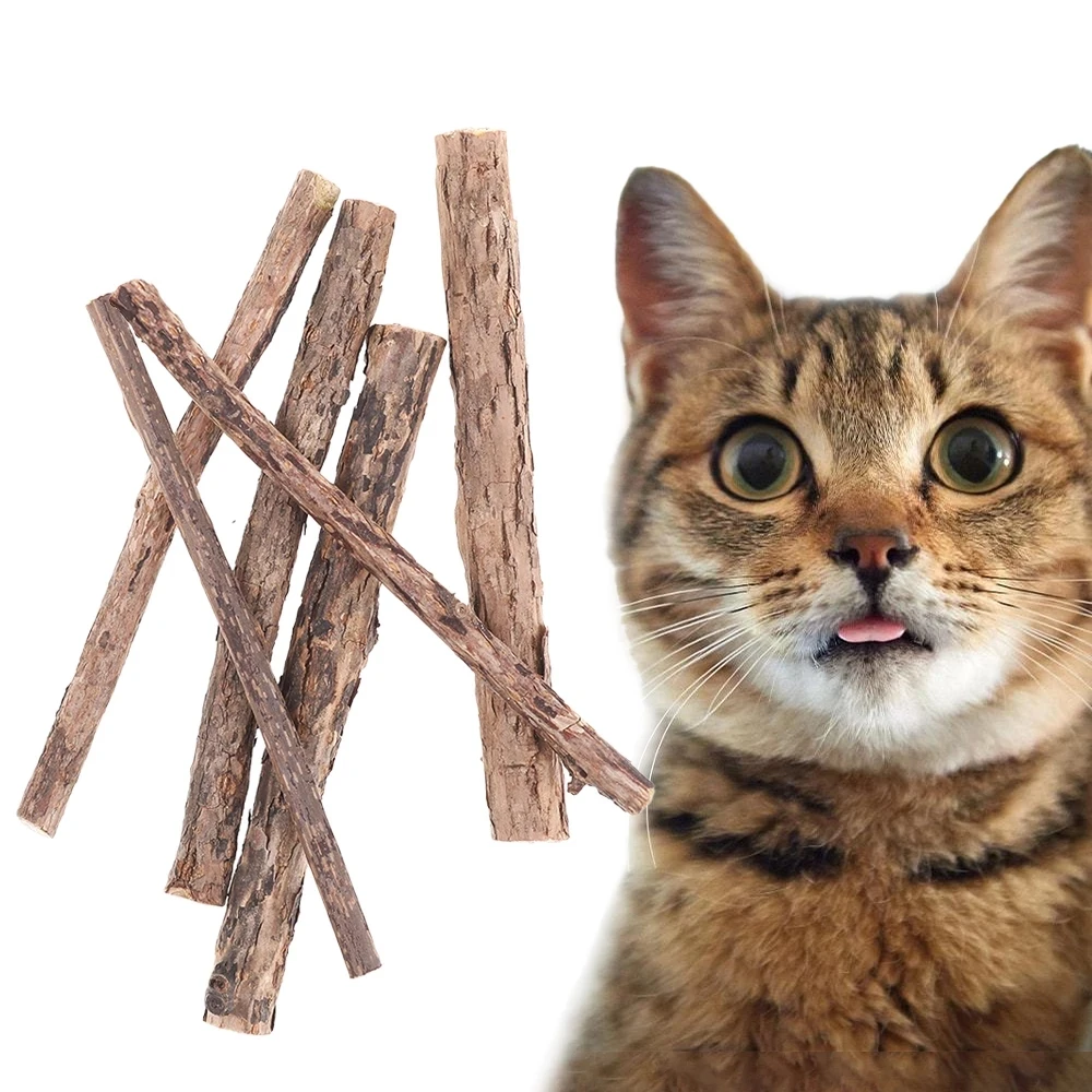 Natural Catnip Pet Cat Molar Toothpaste Stick Cat Snacks Sticks Pet Pure Wood Polygonum Cleaning Teeth