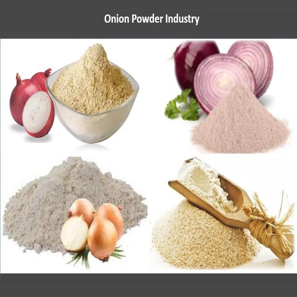 top quality Indian supplier of freeze dried green spring onion use in making food hygiene and organic product with free sample