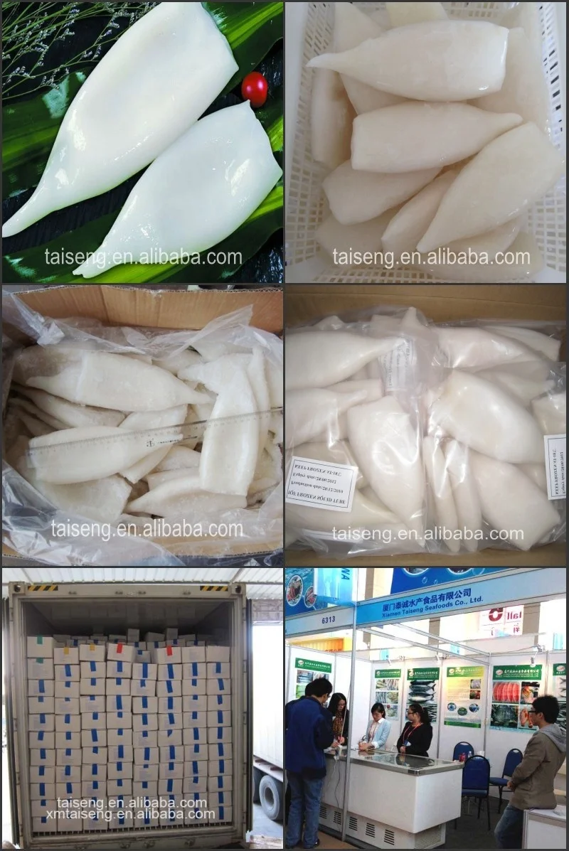cleaned seafood todarodes squid tube U8 U10 frozen squid price wholesale