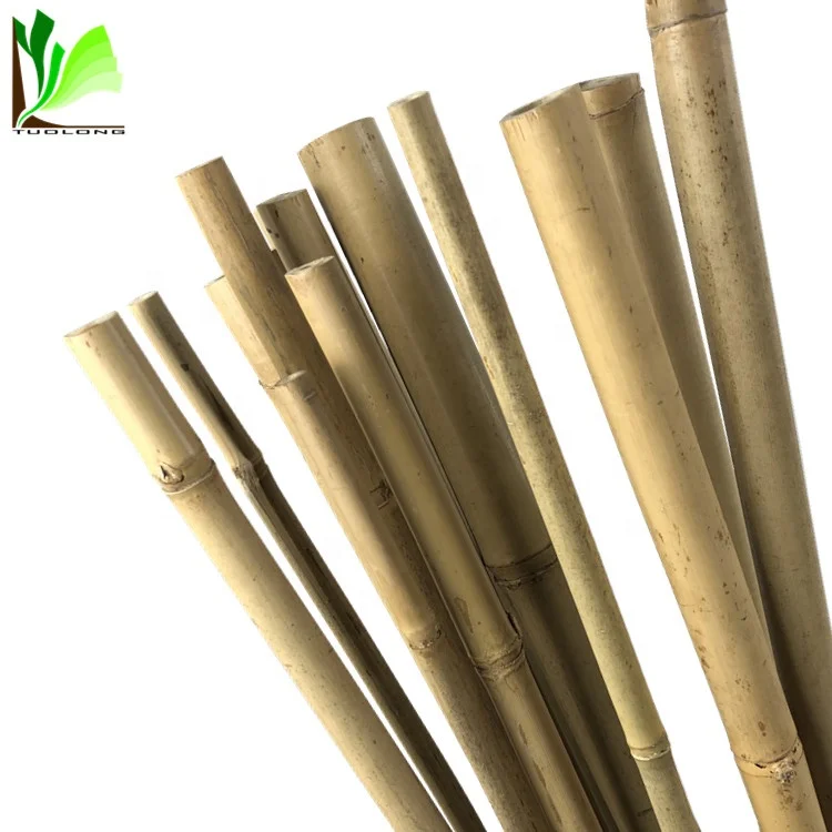 Tonkin Bamboo Canes Bamboo Cane Prices