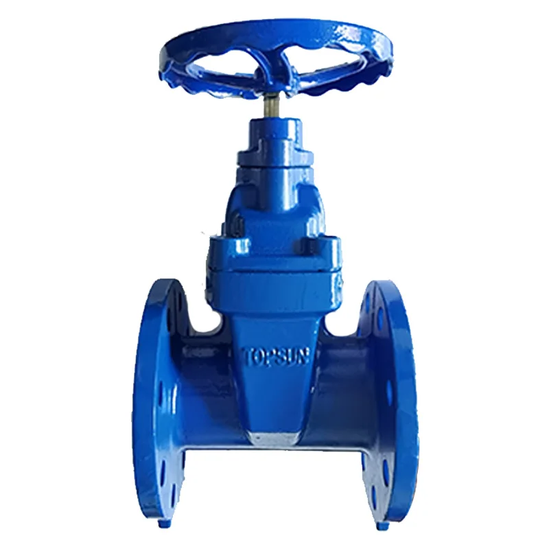 BS5163 DN125 Handle Operation Ductile Cast Iron Gate Valve