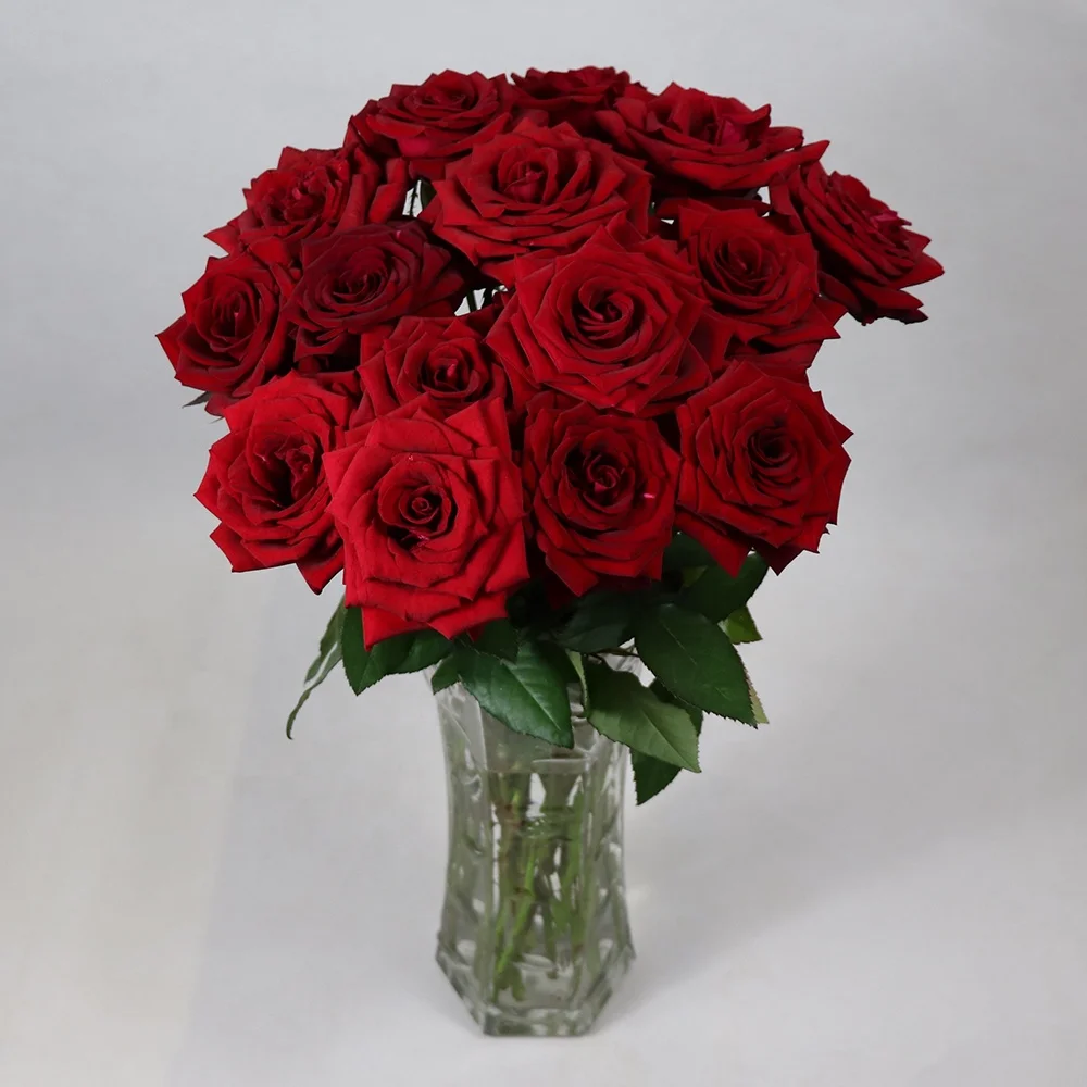 Оптовая продажа, разные виды свежих вырезанных цветов, черные розы для продажи