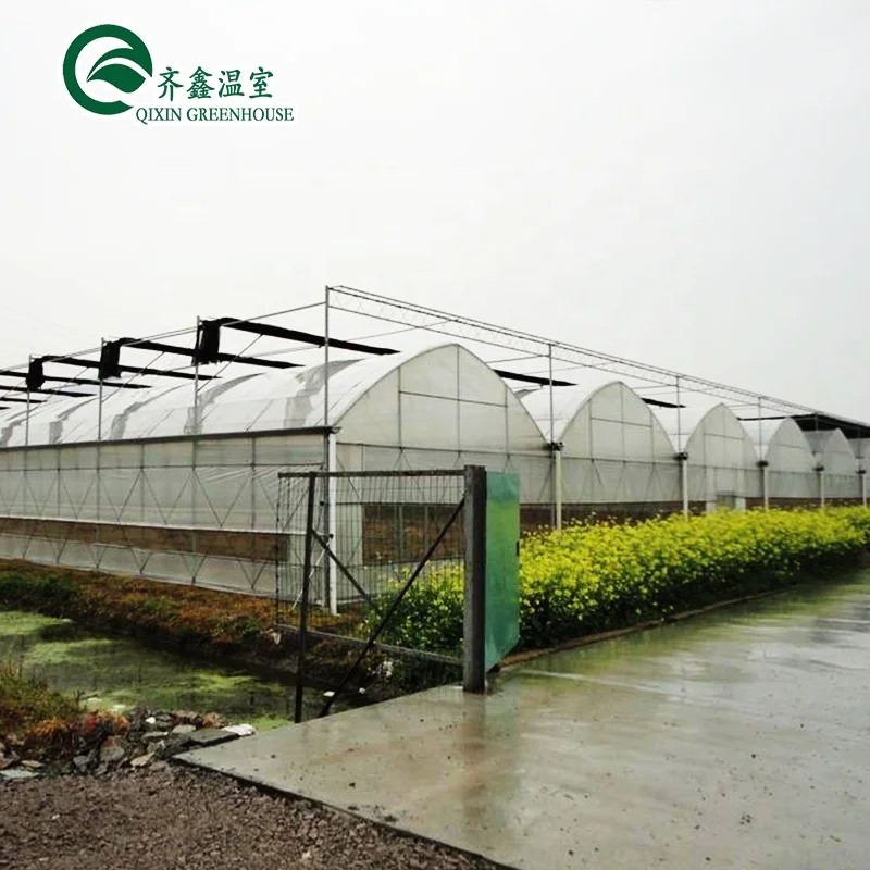 greenhouse aquaponics hydroponic growing systems