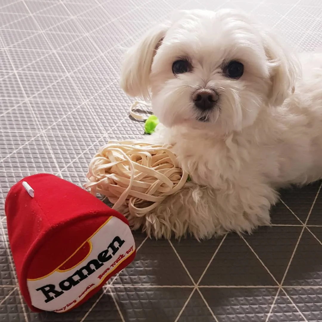 Hot style ramen smart sniffing interactive cute pet food leakage toy dog puzzle dog sniffing toy for cats