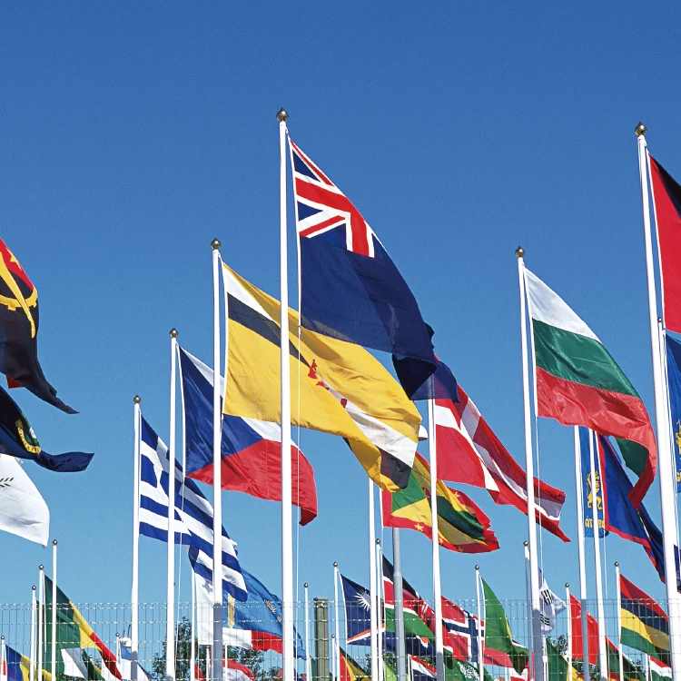 
Customized digital printing 100D polyester 3x5ft chaldean nation flag for outdoor Event 