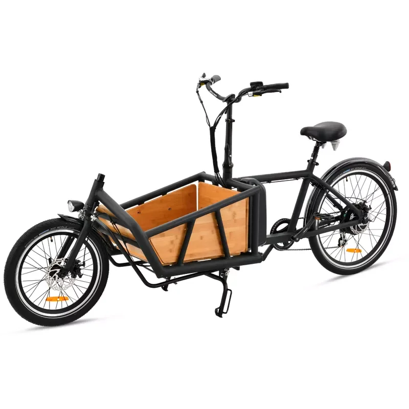 factory price family cheap price front loading 3 wheel electric bike cargo trailer bicycle for sale