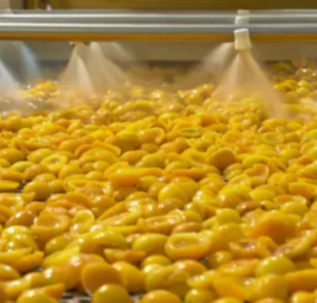 Industrial Sterilization Air Bubble Fruit/Vegetable Washing/Washer/Cleaner Machine for Food Processing