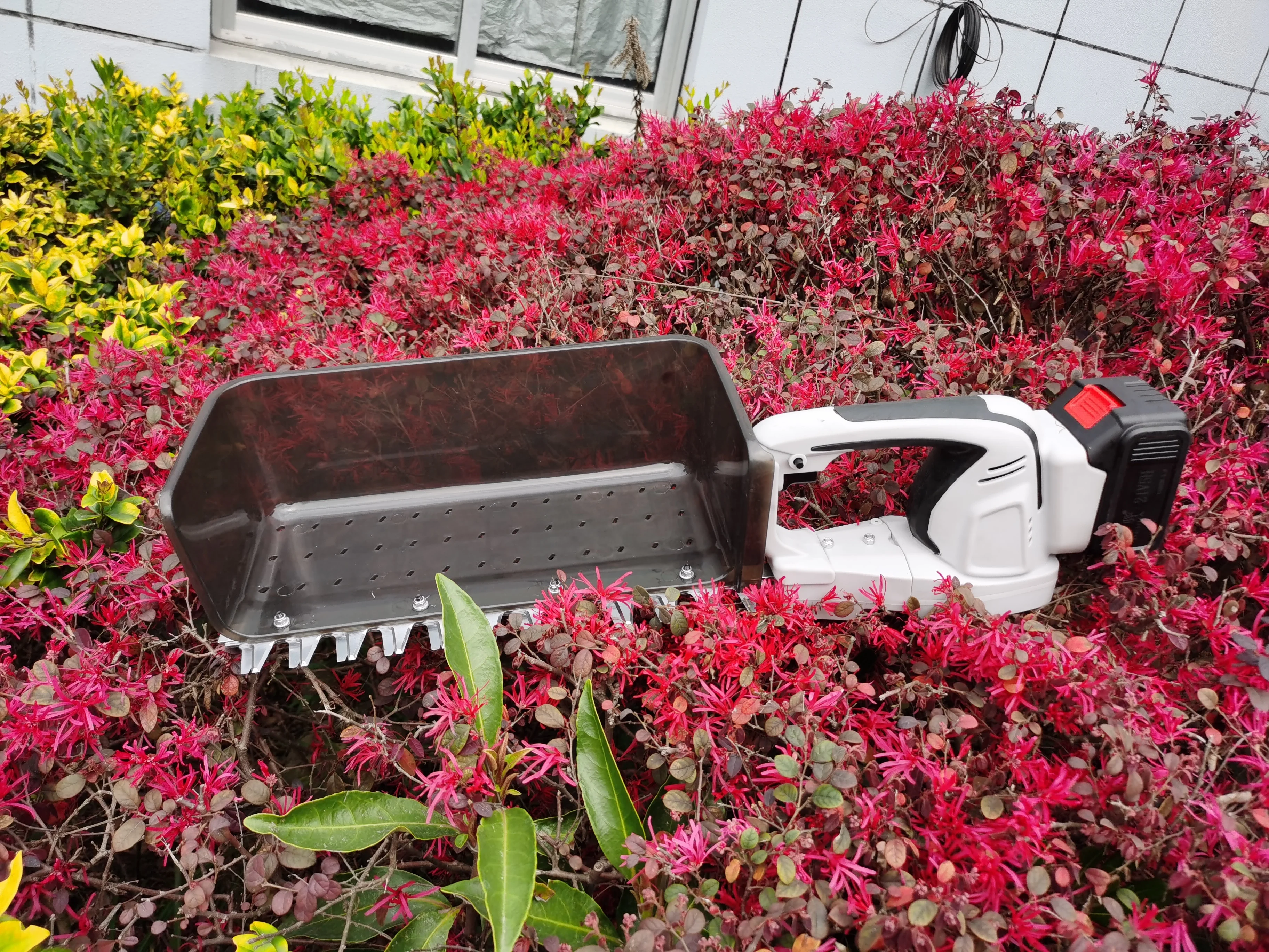 Mini Electric One Man Tea Harvester Battery Operated Tea Harvesting