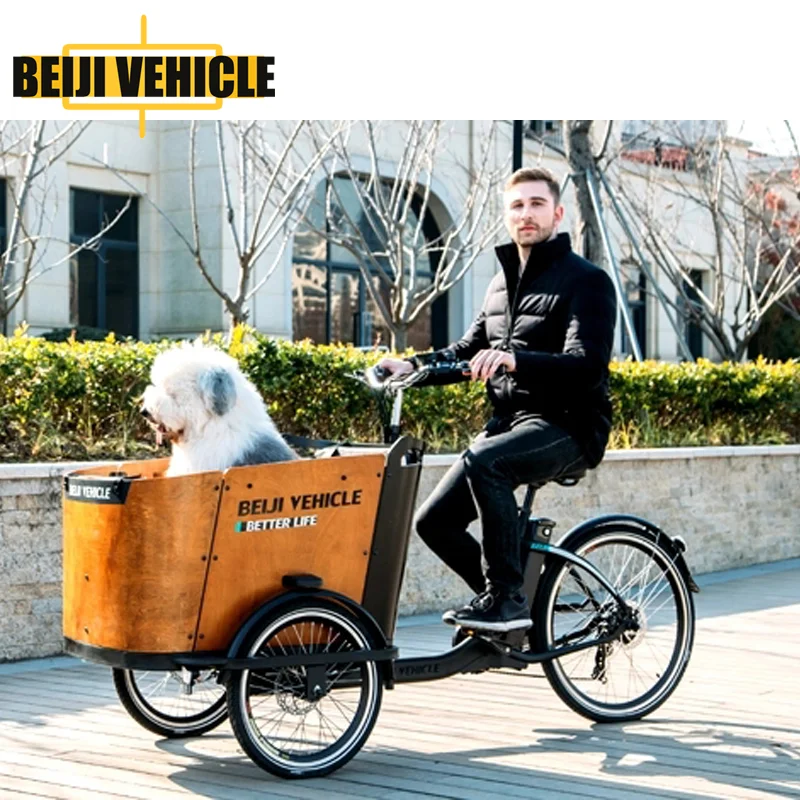 CE electric reverse cargo trike Bicycle adult three wheel cargo family drift trike
