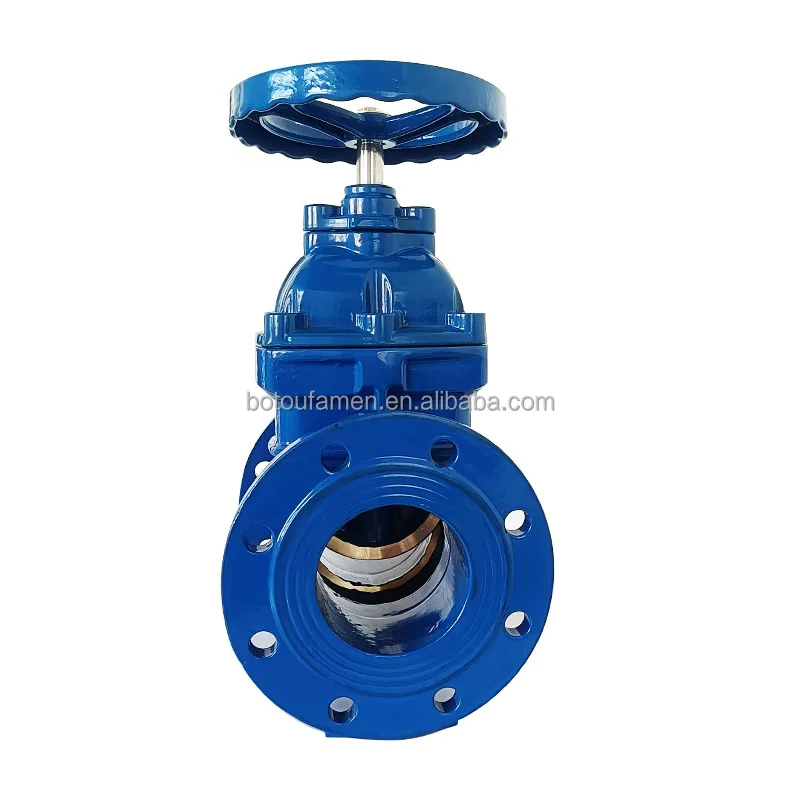 
Manufacturer High quality Hot sale ductile iron brass bronze seated gate valve 