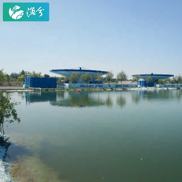 
Breeding Fish for Profit Recirculation Water Treatment Systems in outdoor Aquaculture Fish Farming 