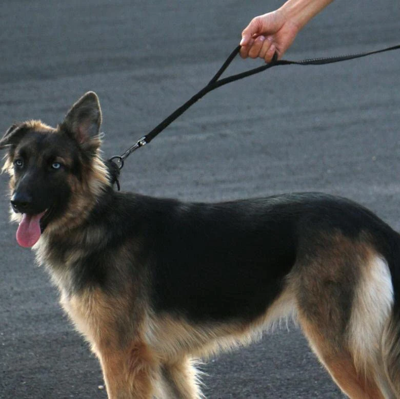 Double Layer Thickened Rope Dog Leash Nylon Dog Training Leash with Reflective Strip Pet Products