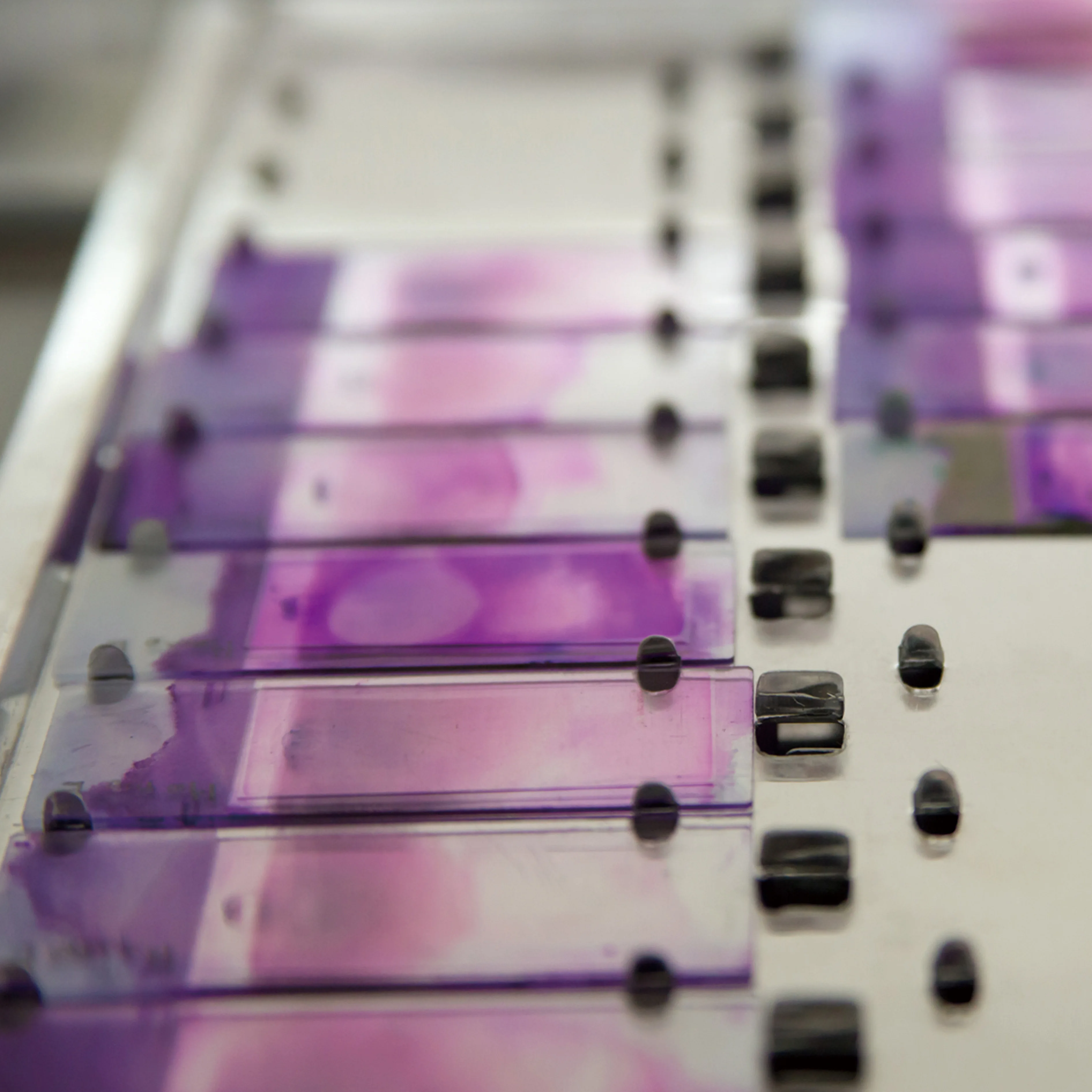 Lab Laboratory Glass Pathology 50PCS Microscope Slides SmearMAT Microscope Slides