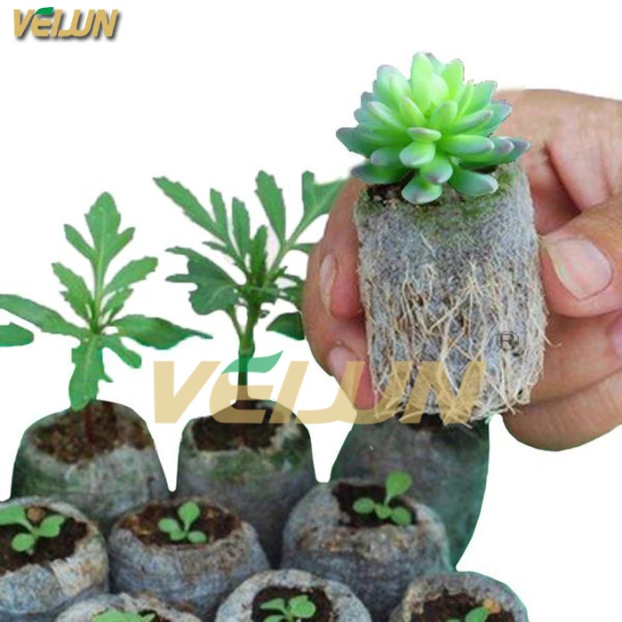 Biodegradable Non woven Fabrics Growing Plant Pot White Nursery Bag