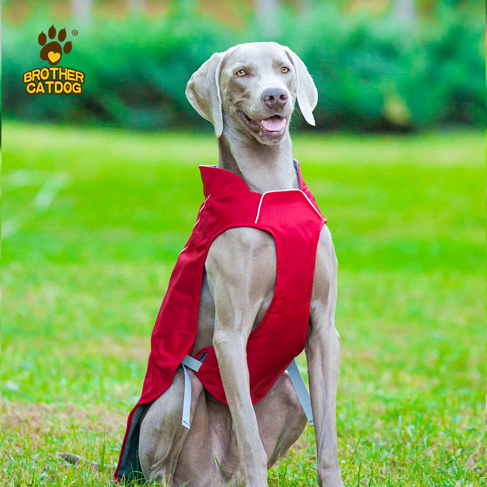 Multiple color pet training coat   big dog hunting clothes   custom logo dog fleece jacket warm body vest