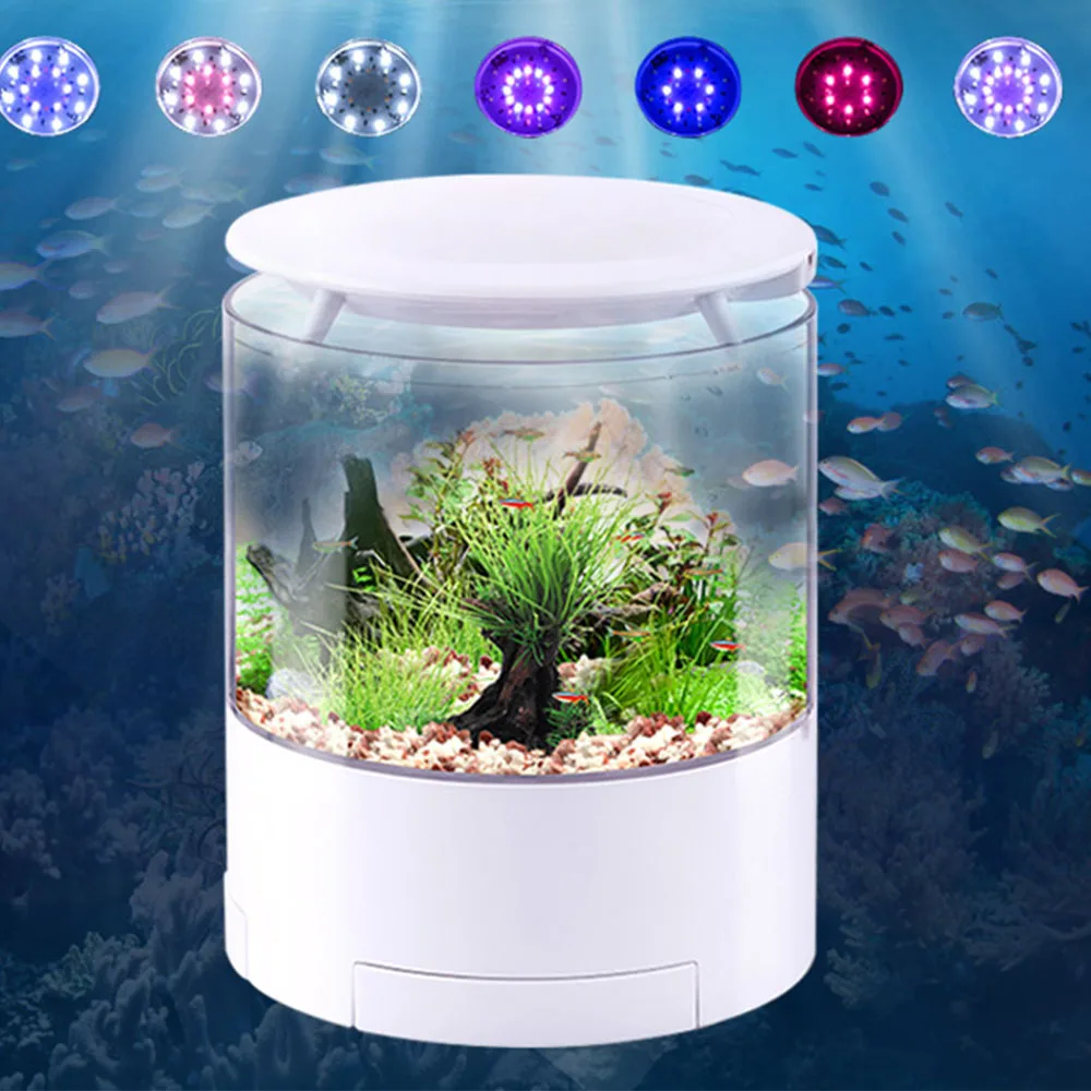 Factory Direct Sales Acrylic LED Light Usb mini desktop fish tank aquarium for home decoration