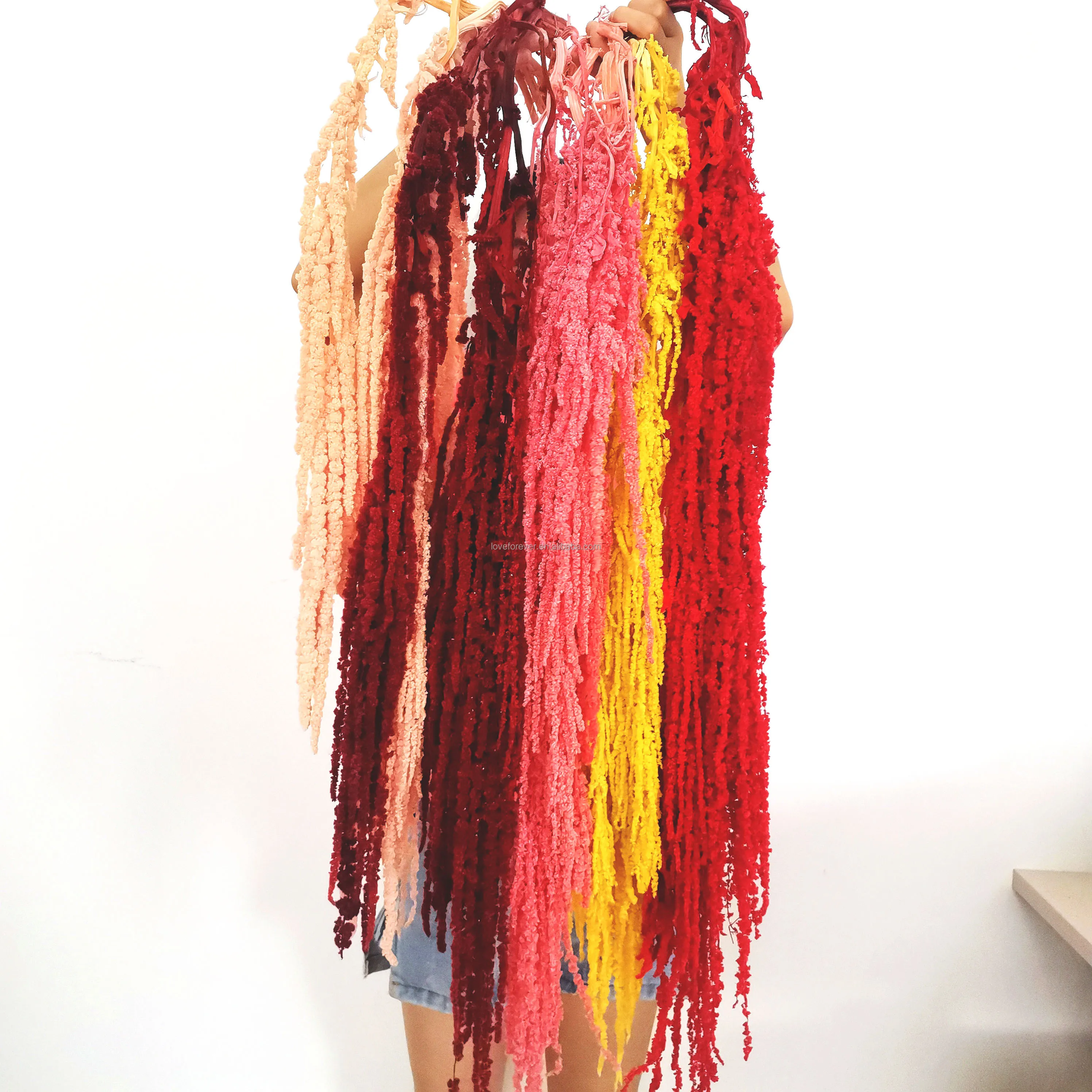 Yunnan natural wholesale natural dried preserved amaranth for home decoration & wedding