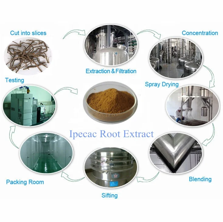 100% Natural Health Care Use Ipecac Root Extract Powder in Good Quality