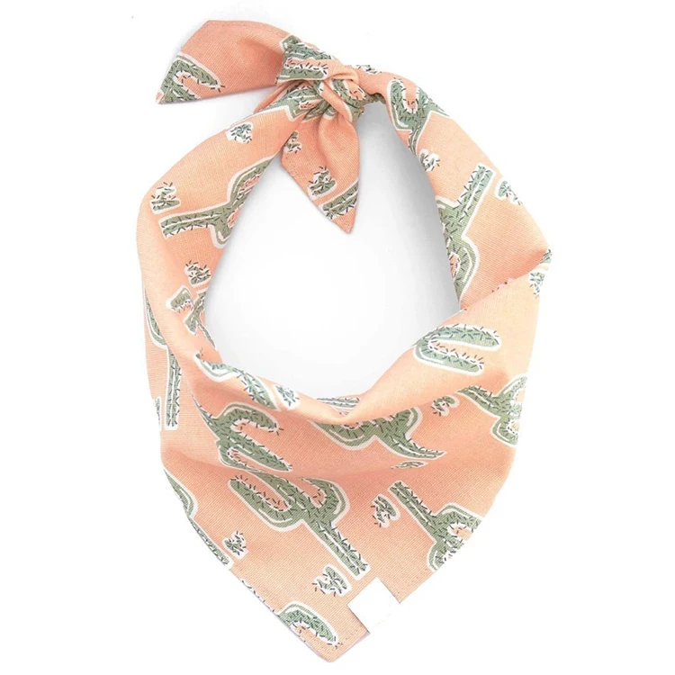 Dog Bandana Pet Custom logo Luxury Cactus Pattern Wholesale Triangle Scarf OEM Birthday