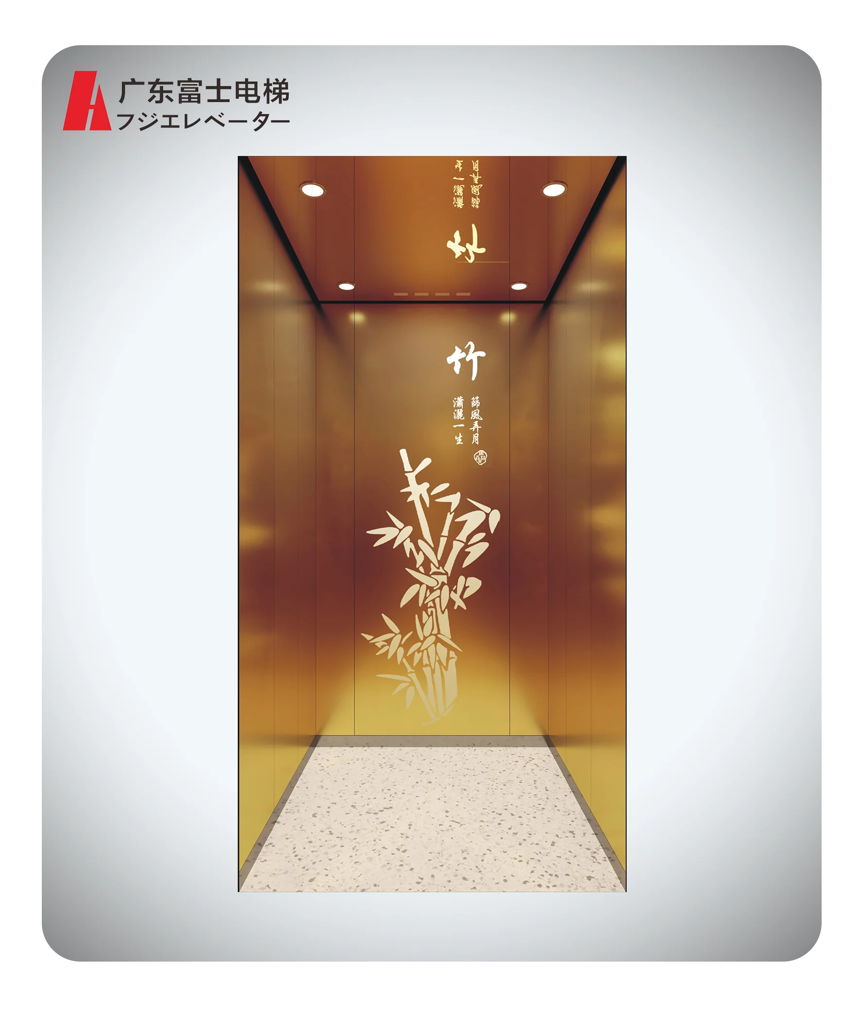 GD-Fuji Small Room Elevator 400kg Passenger Elevator Lift For Building