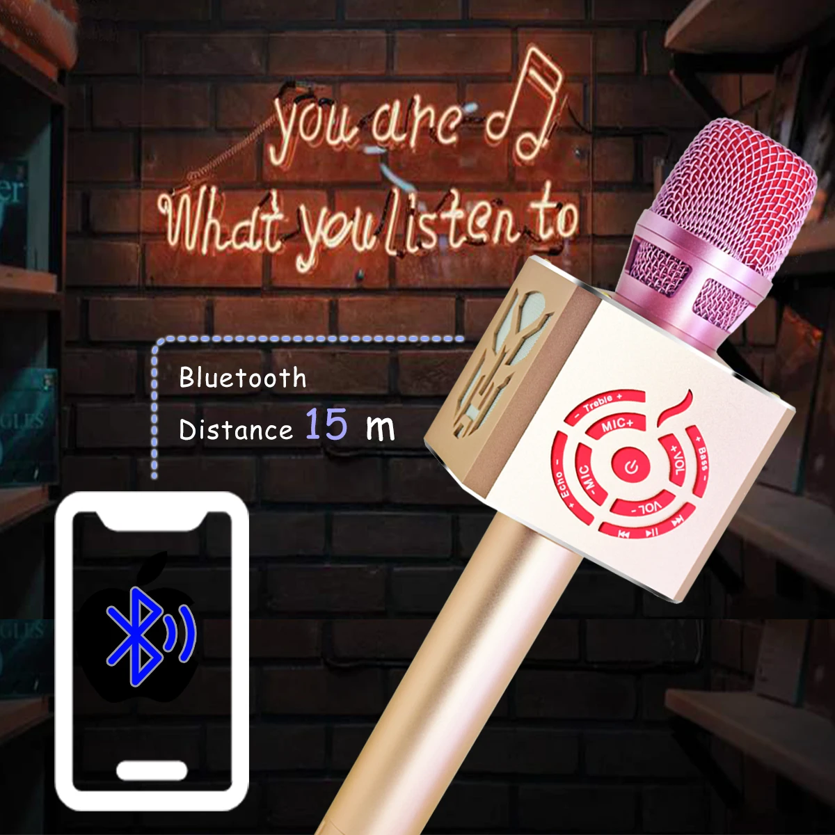 Wireless Karaoke Microphone with Speaker, Portable Handheld Karaoke Player for Home Party KTV Music Singing Playing