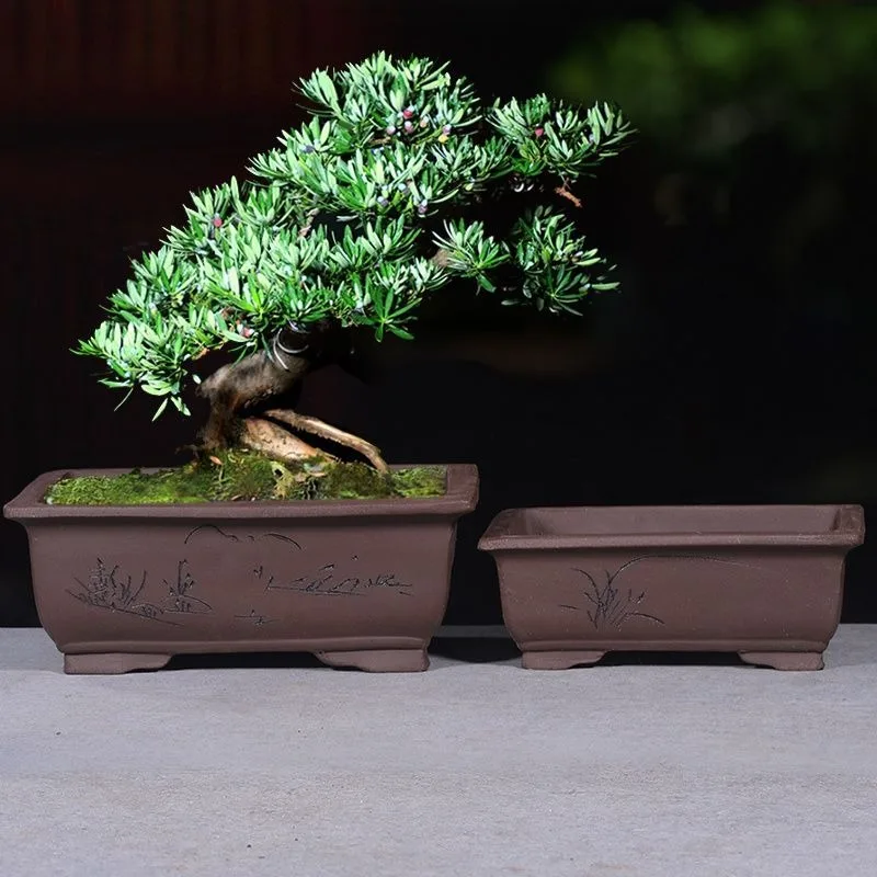 FP031 Bonsai pots japan blue kiln change round shape bonsai pot bonsai keramik Succulent Ceramic Flower Pots