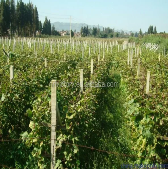 Prestressed Post  Pole Forming Machine for Fence  Grape Trellis