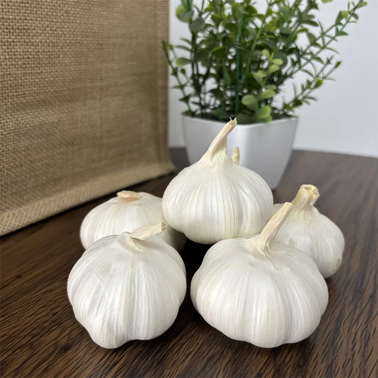 High quality fresh china garlic wholesale normal white pure white garlic
