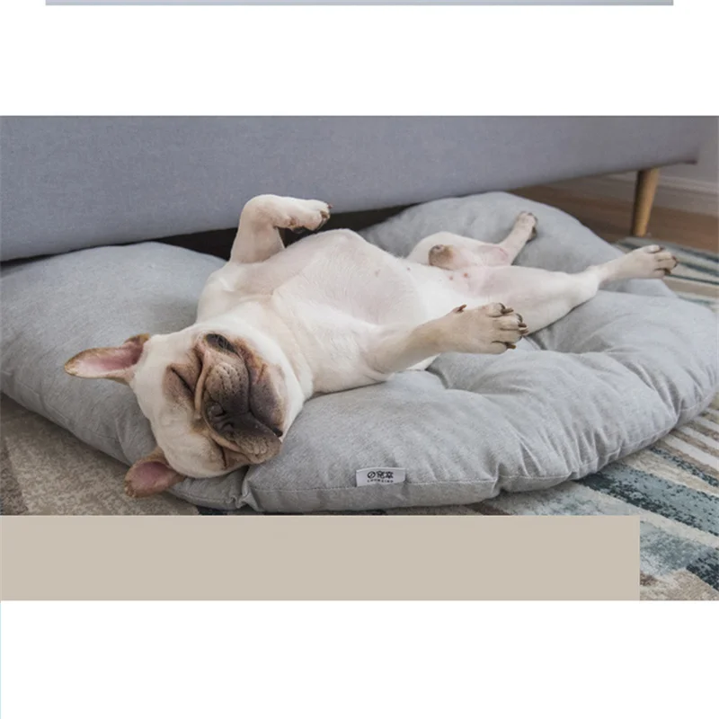 OEM Customization Accepted Pet Paws Cleaning Wet Wipes After Dog Walking Cleaning Wipes