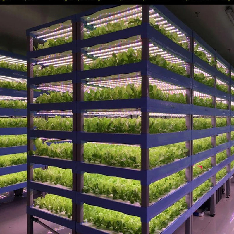 2024 T8 LED Grow Light Tube 3ft 13W AC85-265V Full Spectrum R W 2:4 9pcs for Green Leafy Vegs Greenhouse