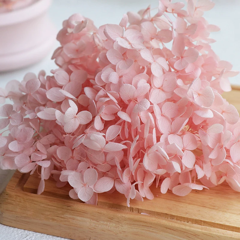 Factory wholesale preserved flower real natural stabilized hydrangeas