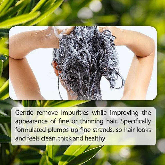 Wholesale Paraben Free Sulfate Free Prevent Hair Loss Shampoo and Conditioner for thinning hair organic anti dandruff shampoo