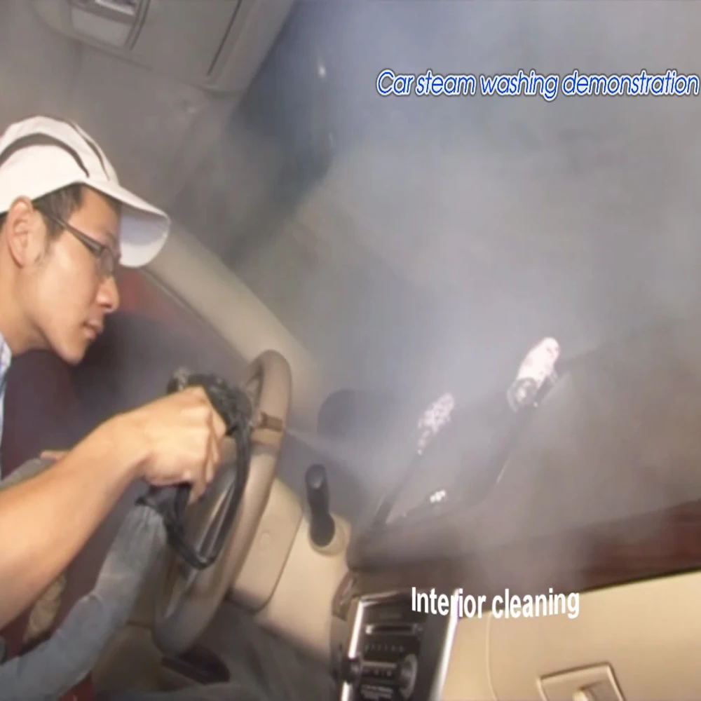 Professional Factory Manufacturer of Steam Car Washer