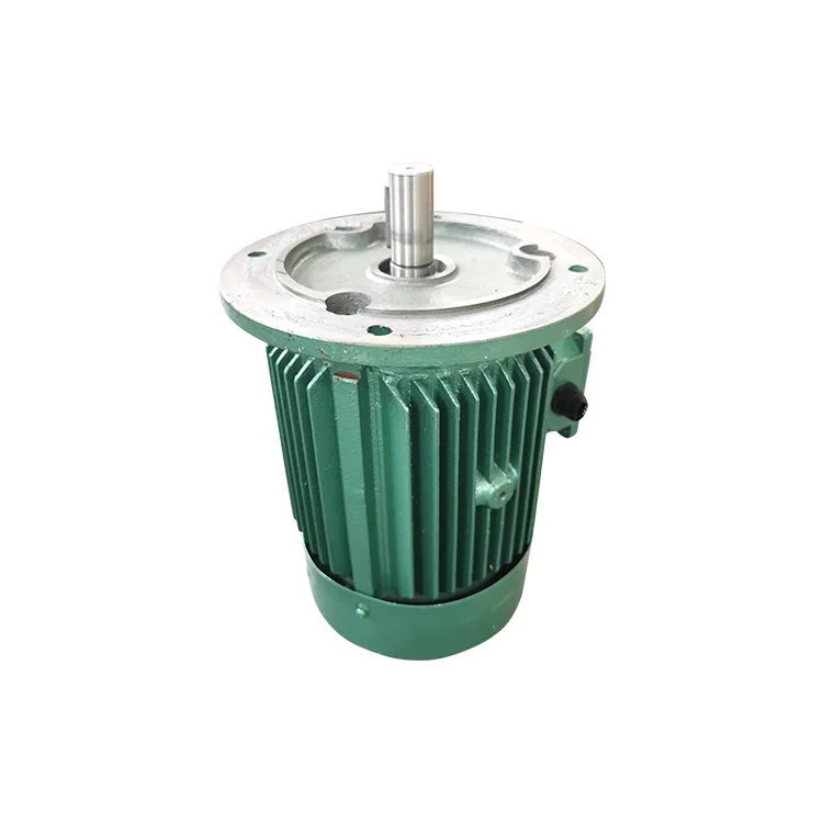three phase electric motor