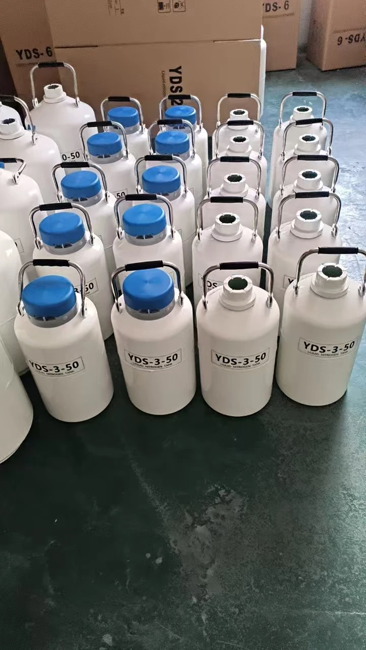 10L portable liquid nitrogen storage tank