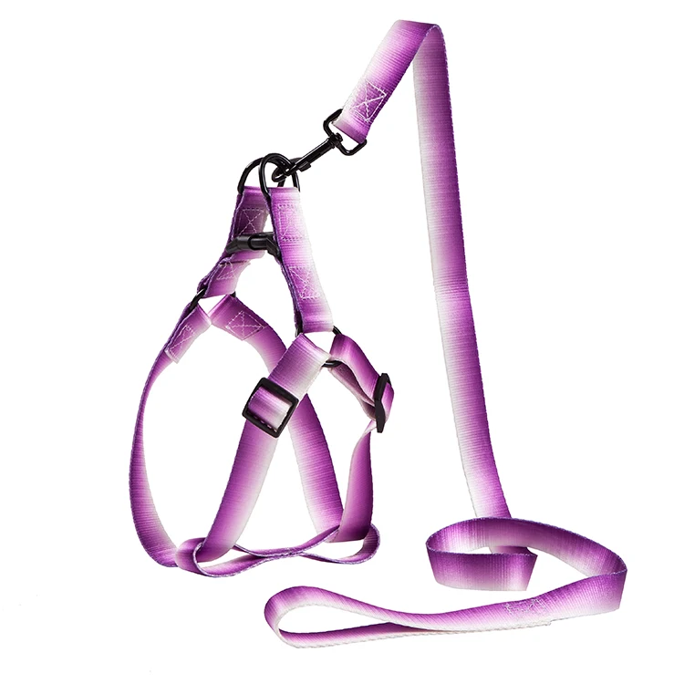 Automatic Retractable Durable Easy Use dog harness Superior Quality Nylon dog harness and leash set