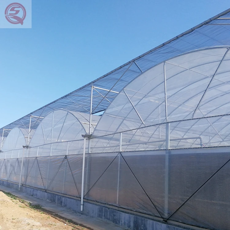 Hydroponics Strawberry Greenhouse plastic greenhouse tunnel greenhouse