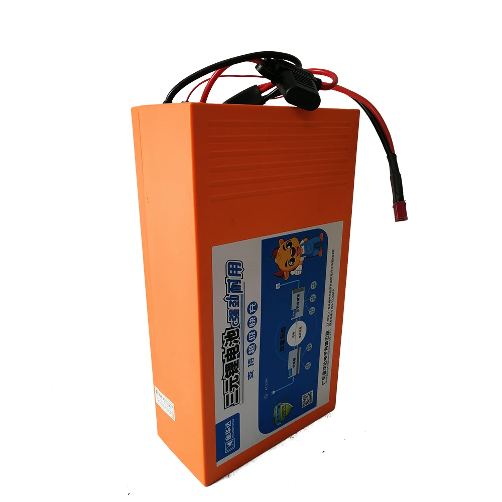 
Customized 48 Volt 36v 11.6ah Electric Bike Lithium Battery Pack 