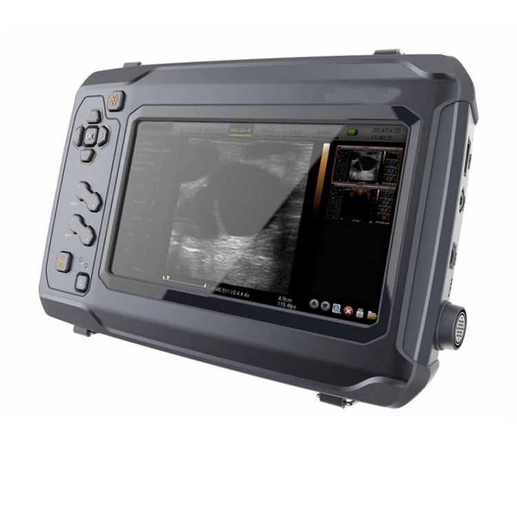 Портативная ветеринарная ультразвуковая система для репродуктивной визуализации крупного рогатого скота